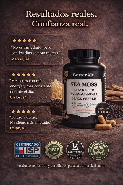 SHILAJIT BETTER ALT - 60 CAPSULAS 2
